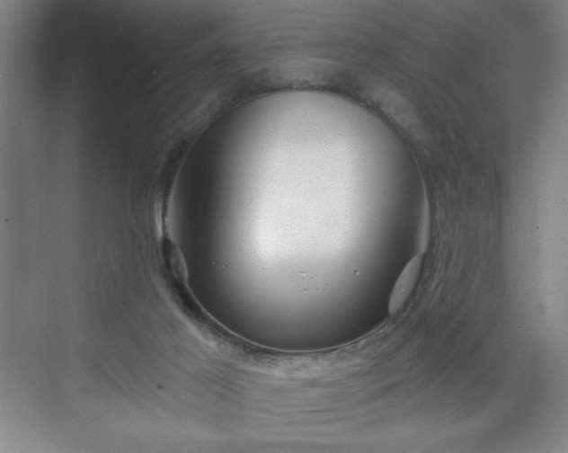 X0000070160021200606021043