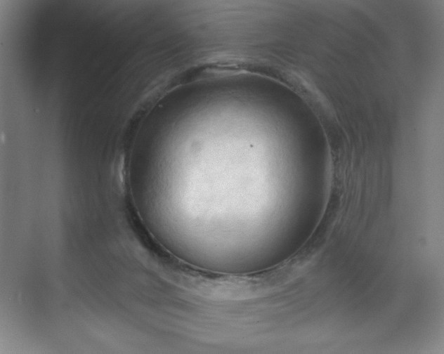 X0000070160024200606021043