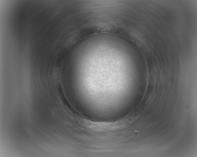 X0000070160034200606021043