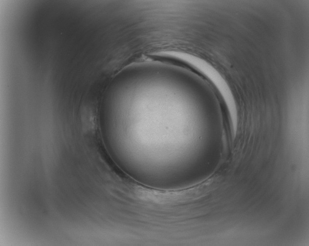 X0000070160039200606021043