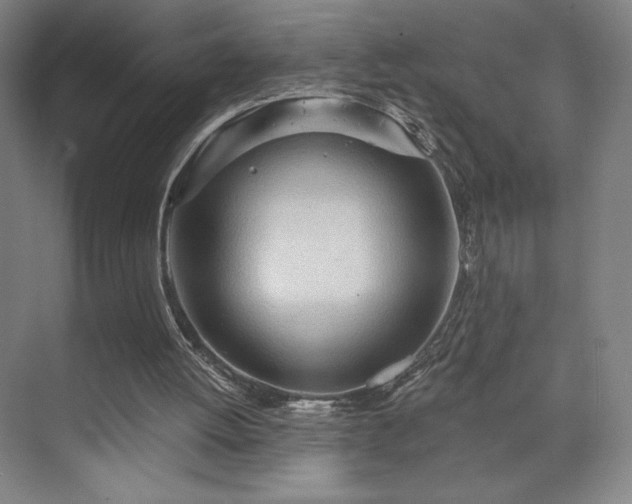 X0000070160052200606021042