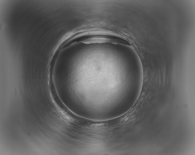 X0000070160054200606021042