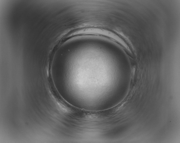X0000070160062200606021042