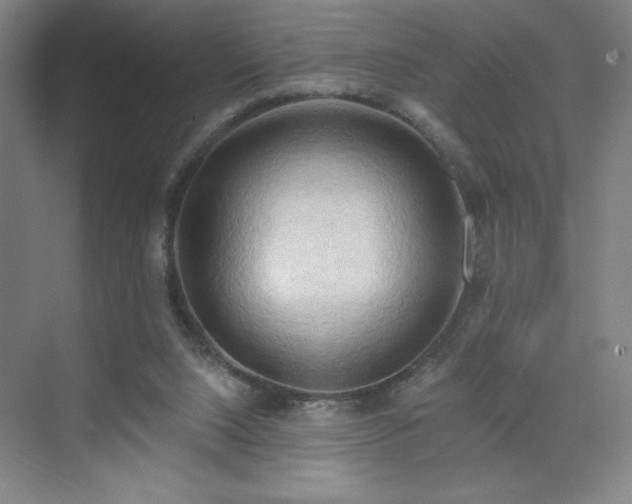 X0000070160064200606021042