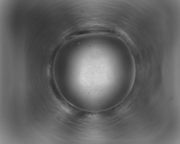 X0000070160071200606021042