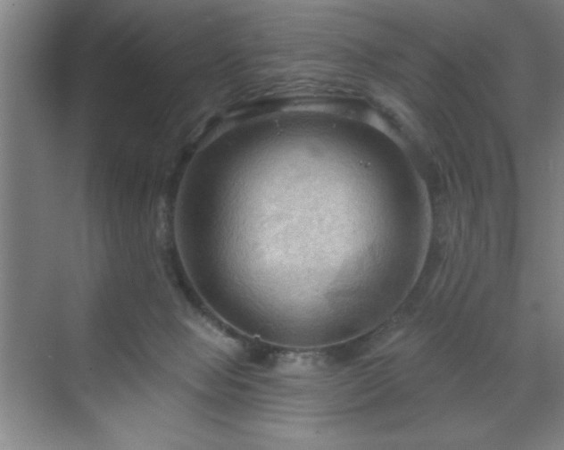 X0000070160077200606021042