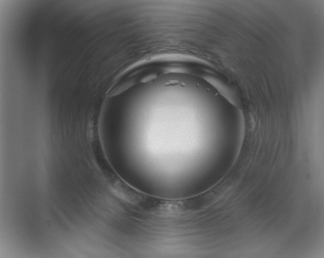 X0000070160080200606021042