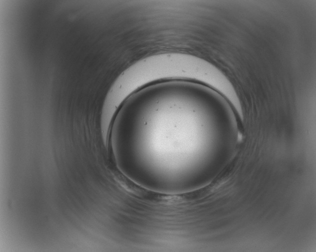 X0000070160087200606021042