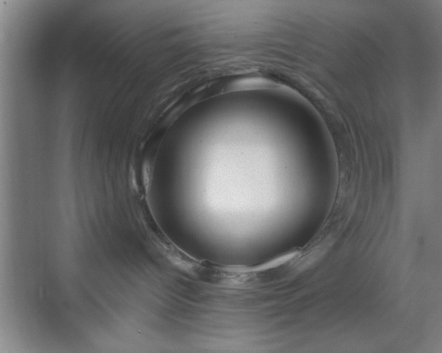 X0000070160096200606021042