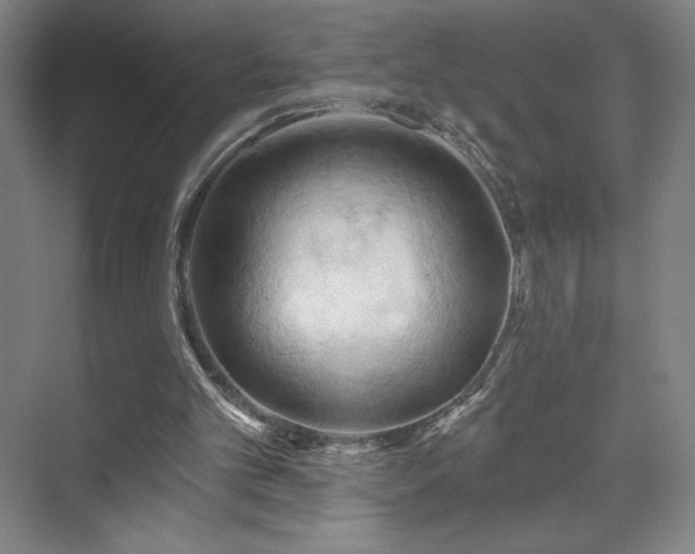 X0000070160101200606021042