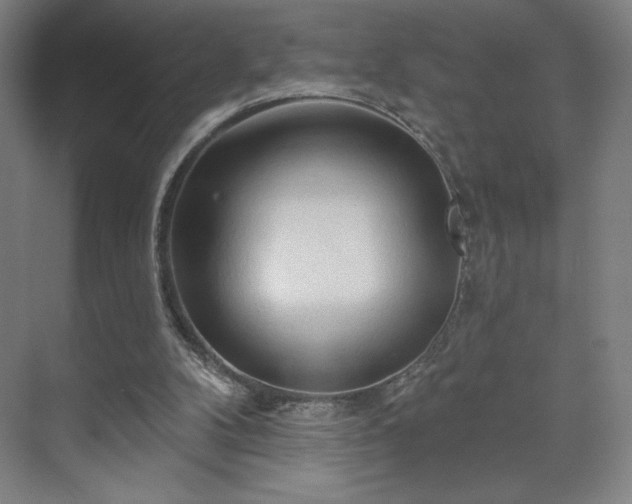 X0000070160104200606021042