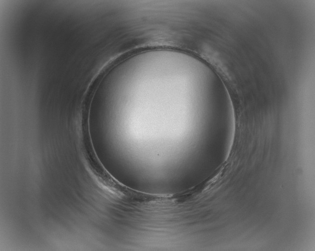 X0000070160108200606021041
