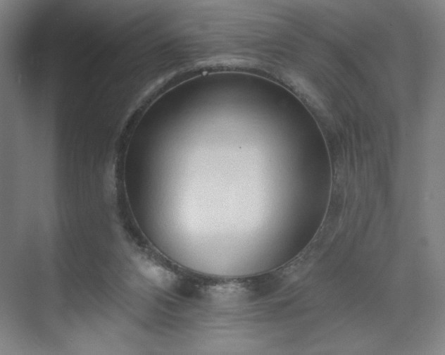 X0000070160112200606021041