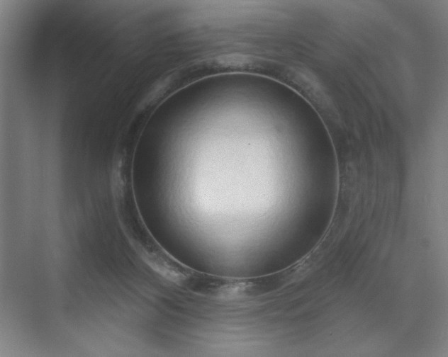X0000070160116200606021041