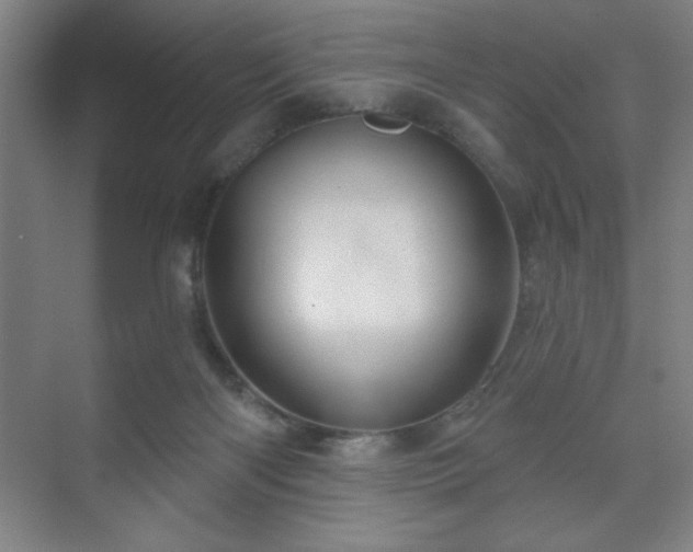 X0000070160122200606021041