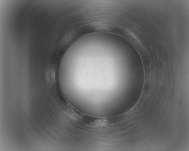 X0000070160124200606021041