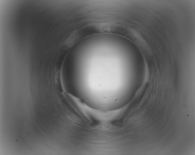 X0000070160125200606021041