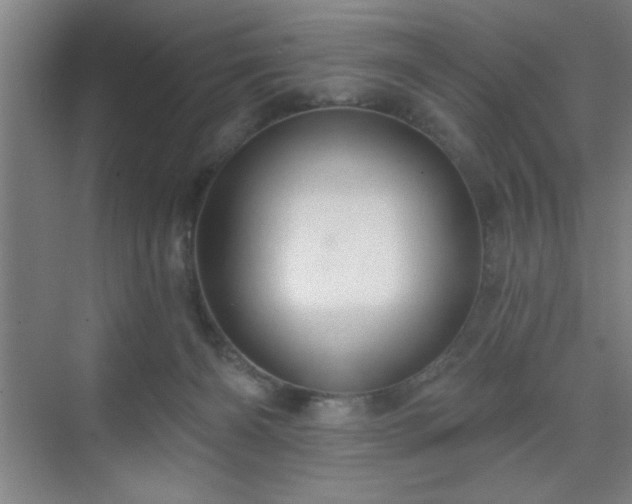 X0000070160126200606021041