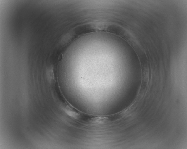 X0000070160128200606021041