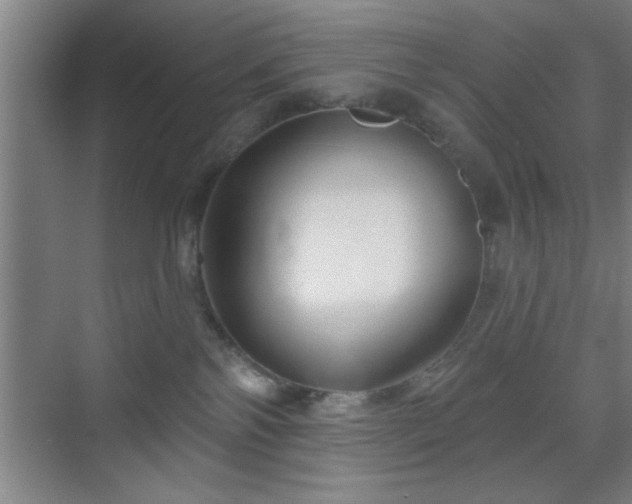 X0000070160138200606021041
