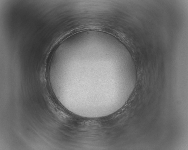X0000070160146200606021040