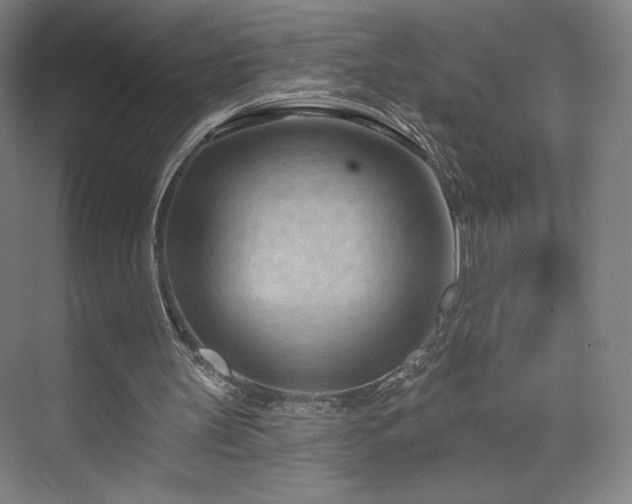 X0000070160147200606021040