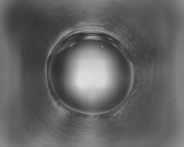 X0000070160148200606021040