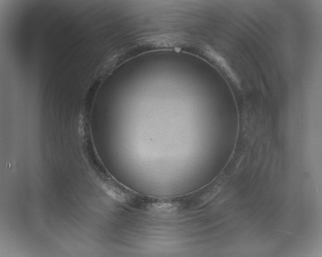 X0000070160161200606021040