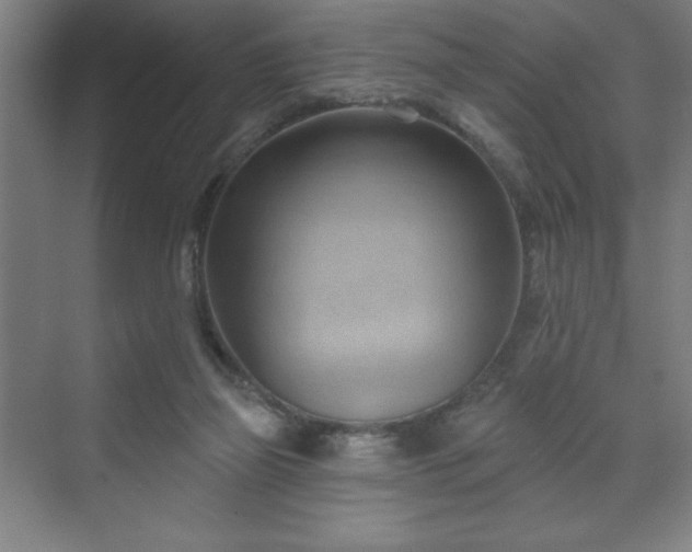 X0000070160165200606021040