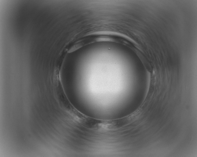 X0000070160172200606021040