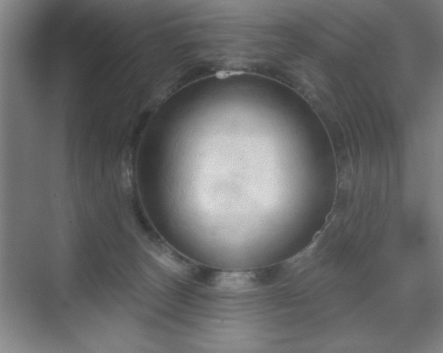X0000070160179200606021041