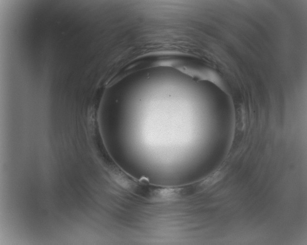 X0000070160184200606021041