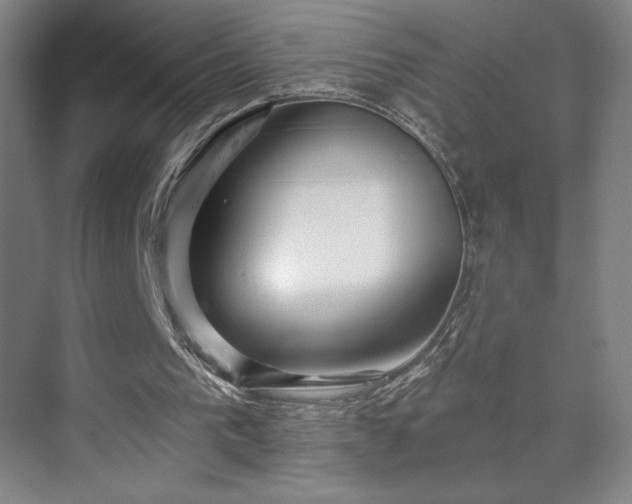 X0000070160193200606021040