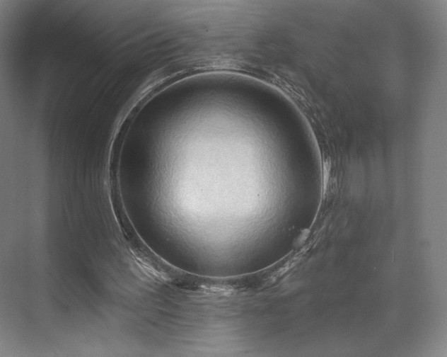 X0000070160195200606021040