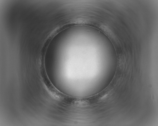 X0000070160208200606021040