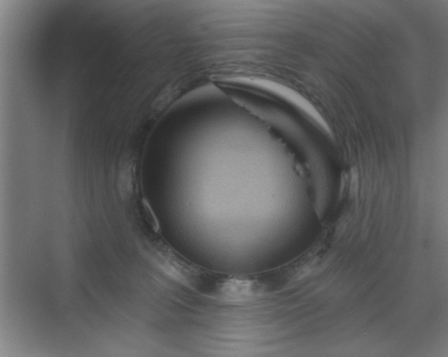X0000070160227200606021039