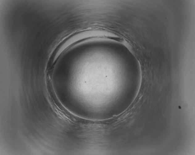 X0000070160242200606021038