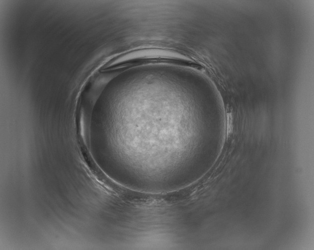 X0000070160243200606021038