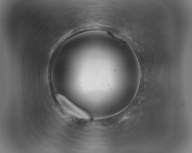 X0000070160244200606021038