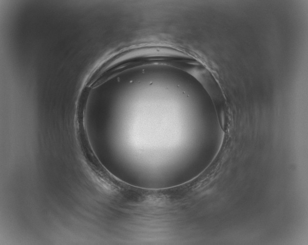 X0000070160248200606021039