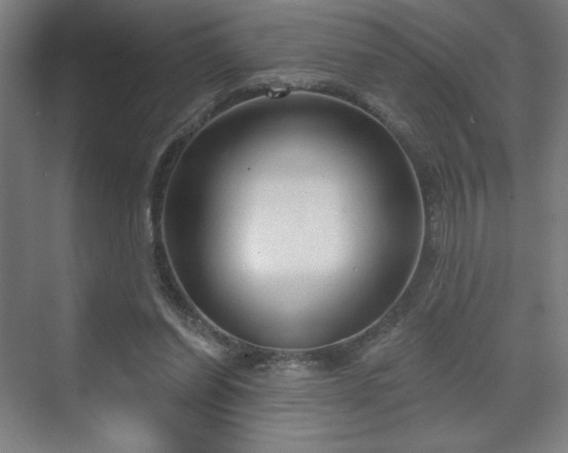 X0000070160254200606021039