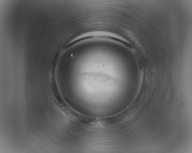 X0000070160259200606021039
