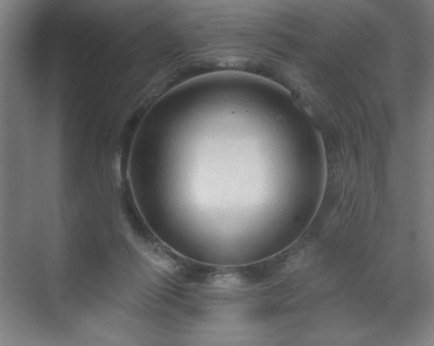 X0000070160262200606021039