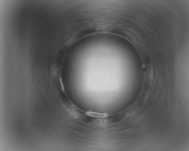 X0000070160276200606021039