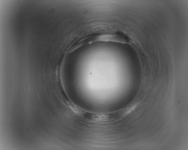 X0000070160288200606021039