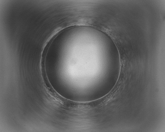 X0000070160292200606021038