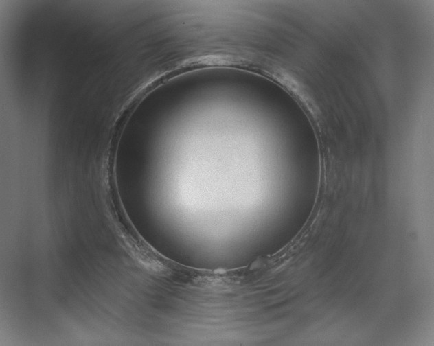 X0000070160297200606021038