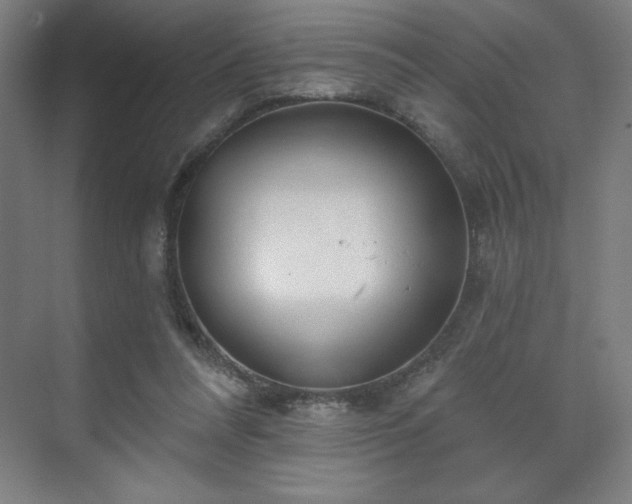 X0000070160304200606021038