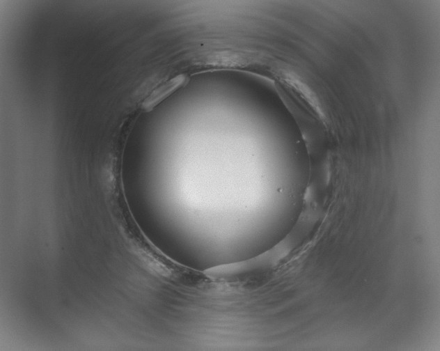 X0000070160305200606021038