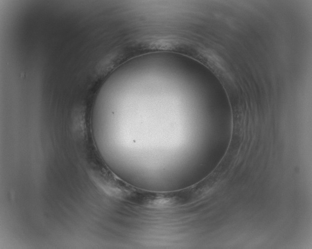 X0000070160312200606021038